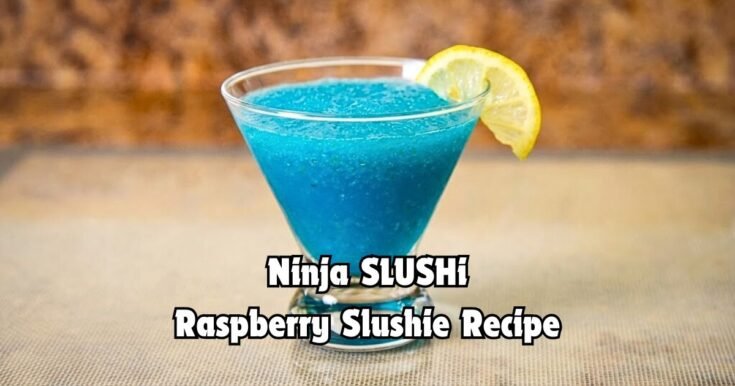 Ninja SLUSHi Raspberry Slushie Recipe