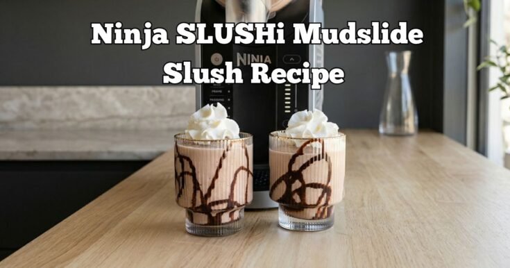Ninja SLUSHi Mudslide Slush Recipe