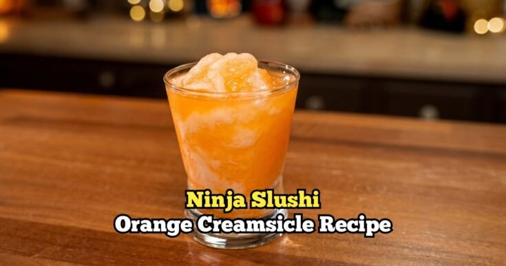Ninja Slushi Orange Creamsicle Recipe